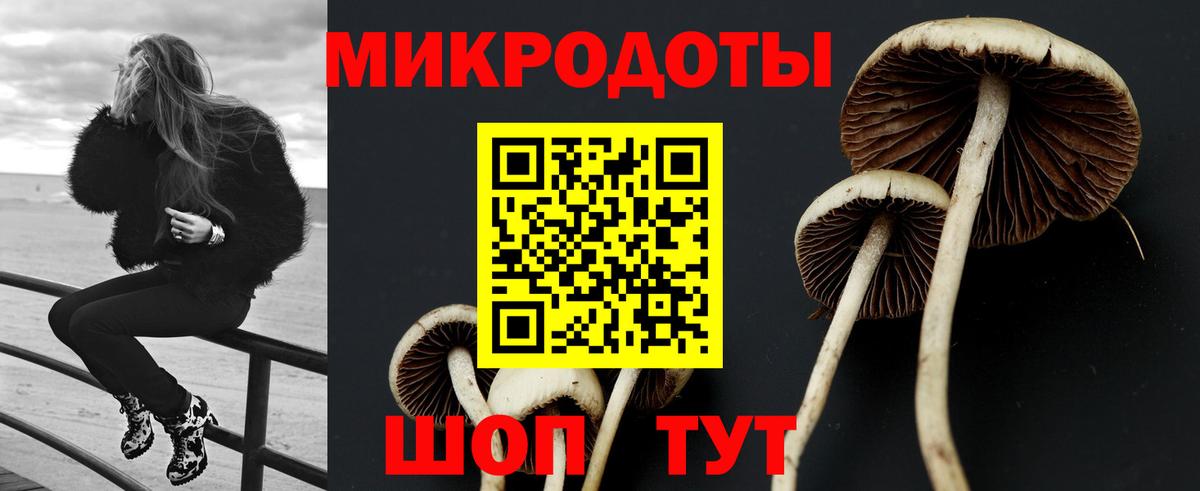 Железноводск  Псилоцибиновые грибы MAGIC MUSHROOMS  Вход с VPN 